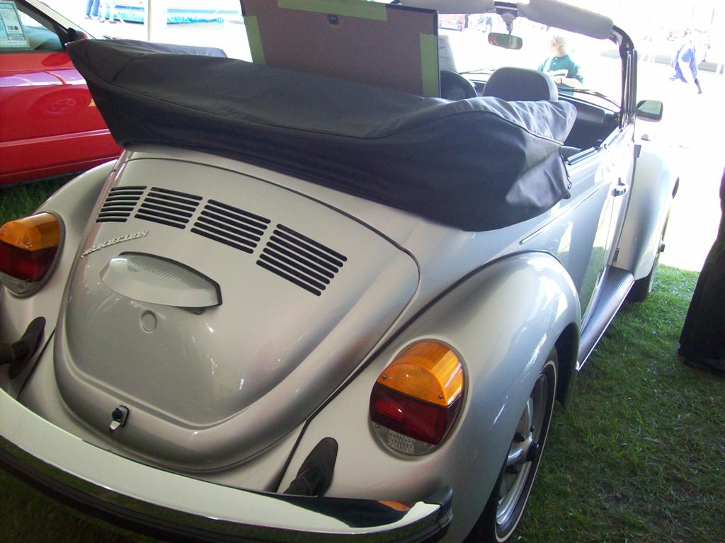 100_1976 (Large).JPG