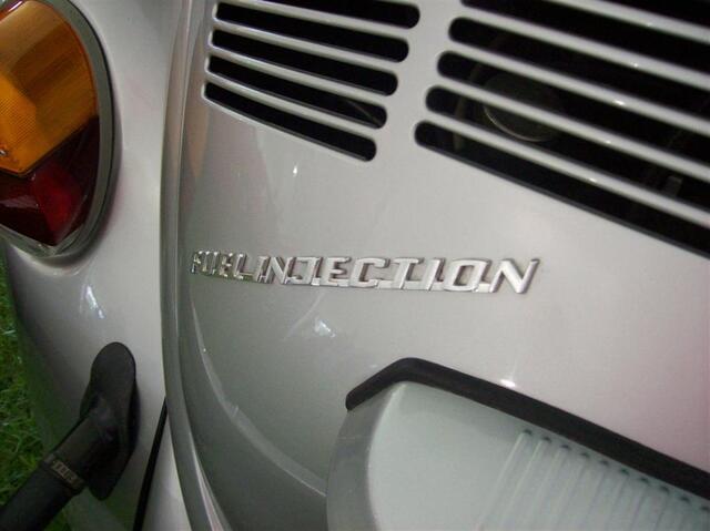 100_1977 (Large).JPG
