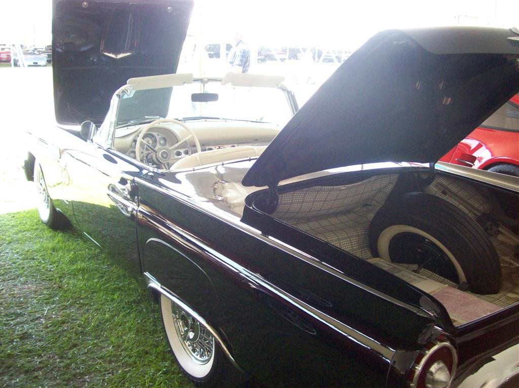 100_1998 (Large).JPG