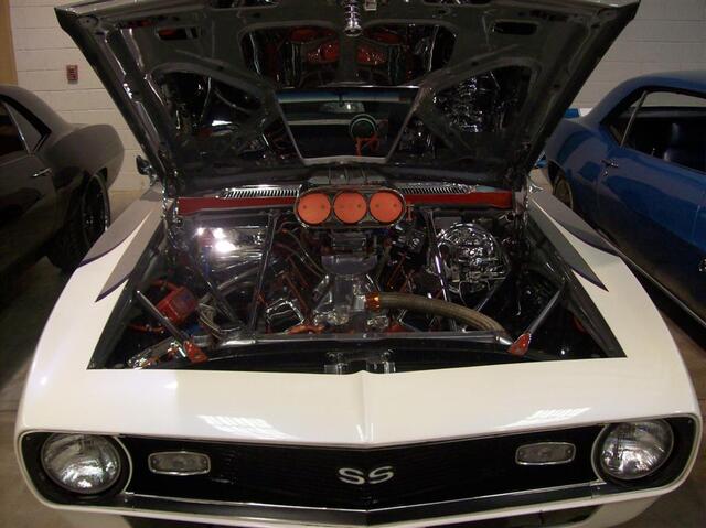100_2060 (Large).JPG