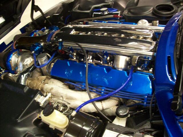 100_2142 (Large).JPG