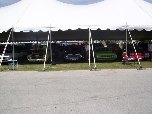 100_2180 (Large).JPG
