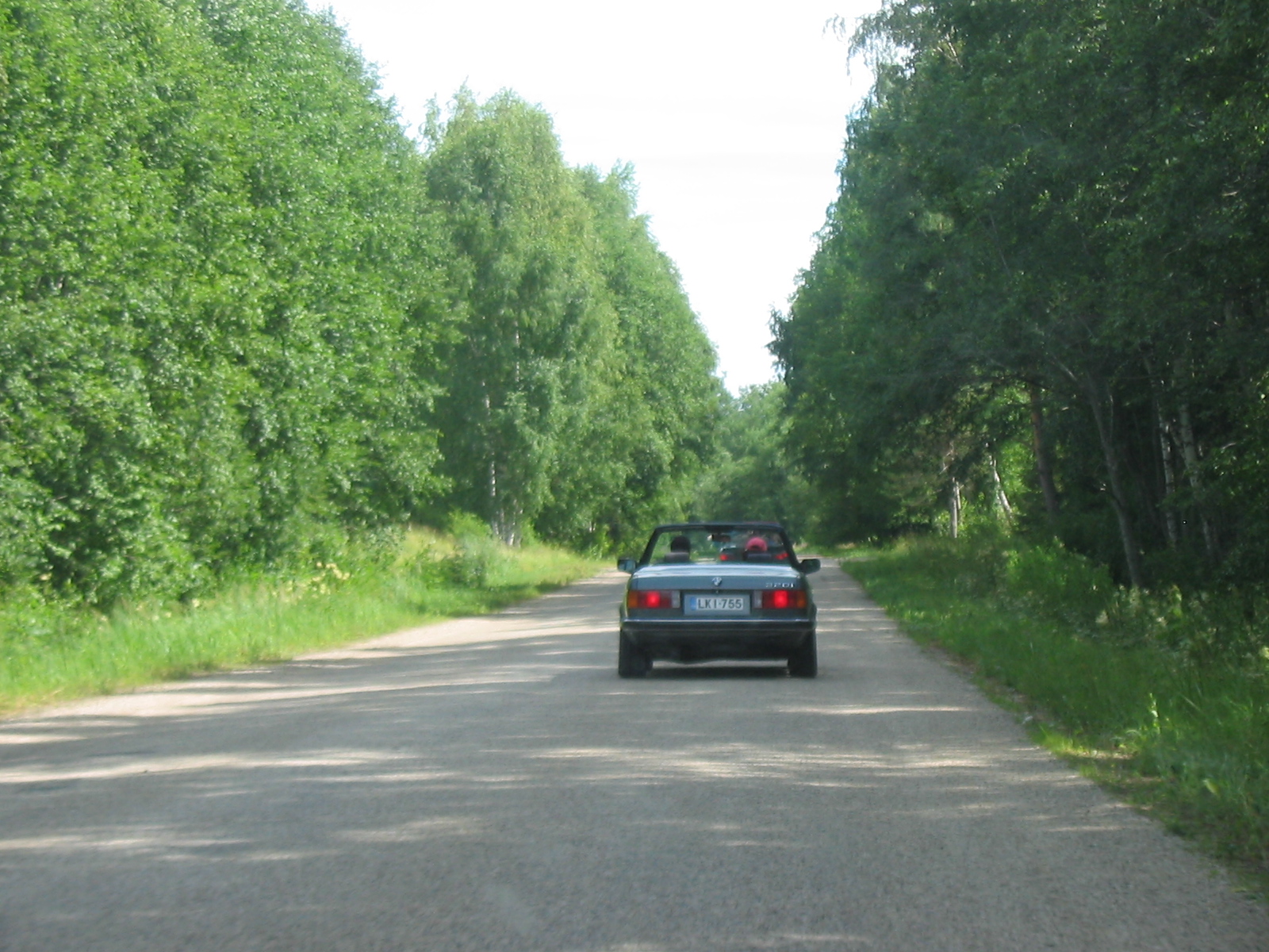 IMG_4595.jpg