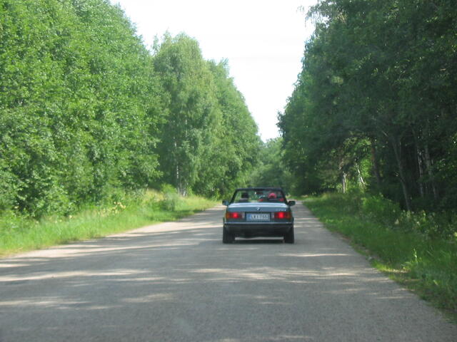 IMG_4595.jpg