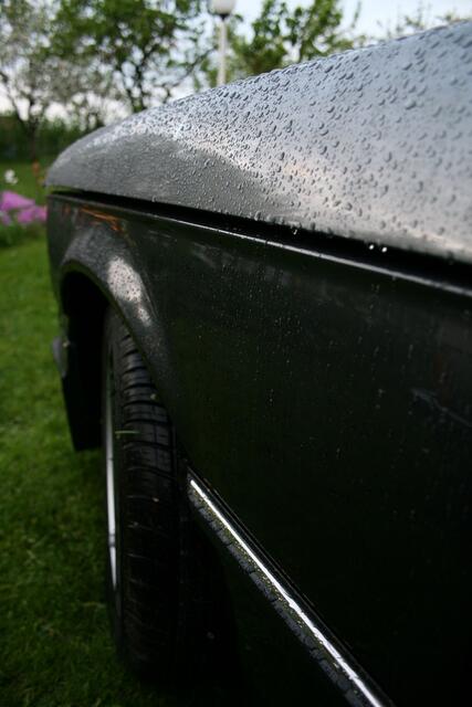 IMG_8499.jpg