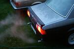 IMG_8576.jpg
