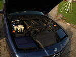 Picture 022