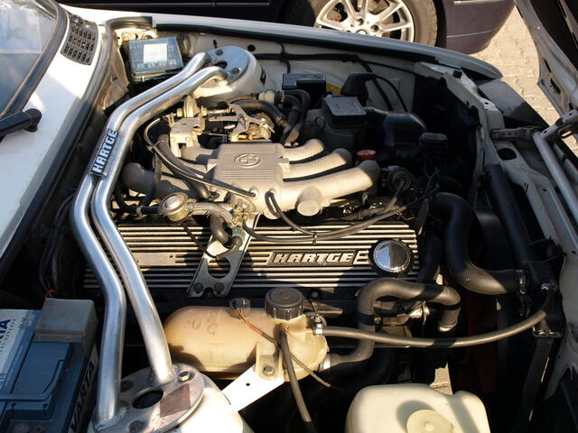 Picture 036