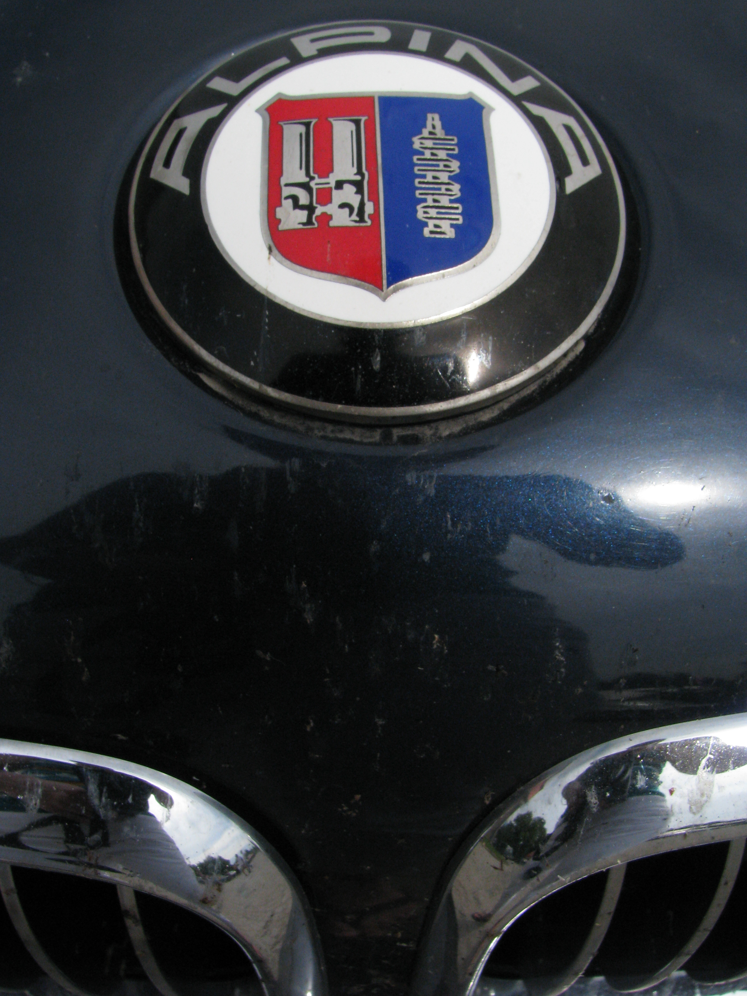IMG_2936.JPG