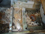 DSC00540