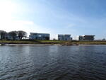 Picture 009