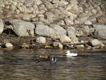 Picture 057