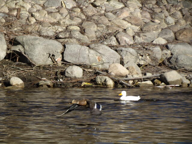 Picture 057