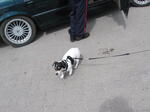 IMG_0153.JPG
