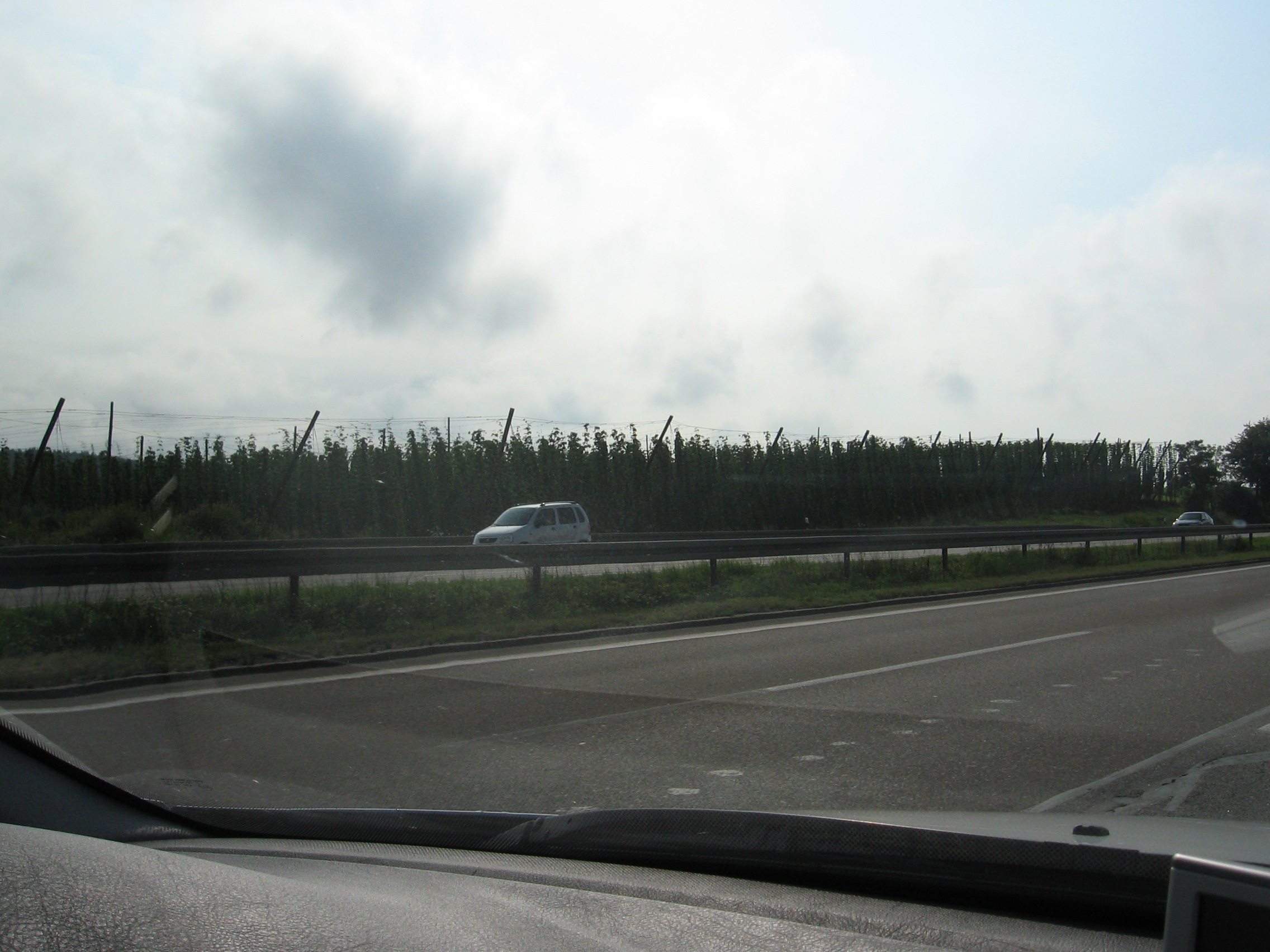 IMG_1605.JPG