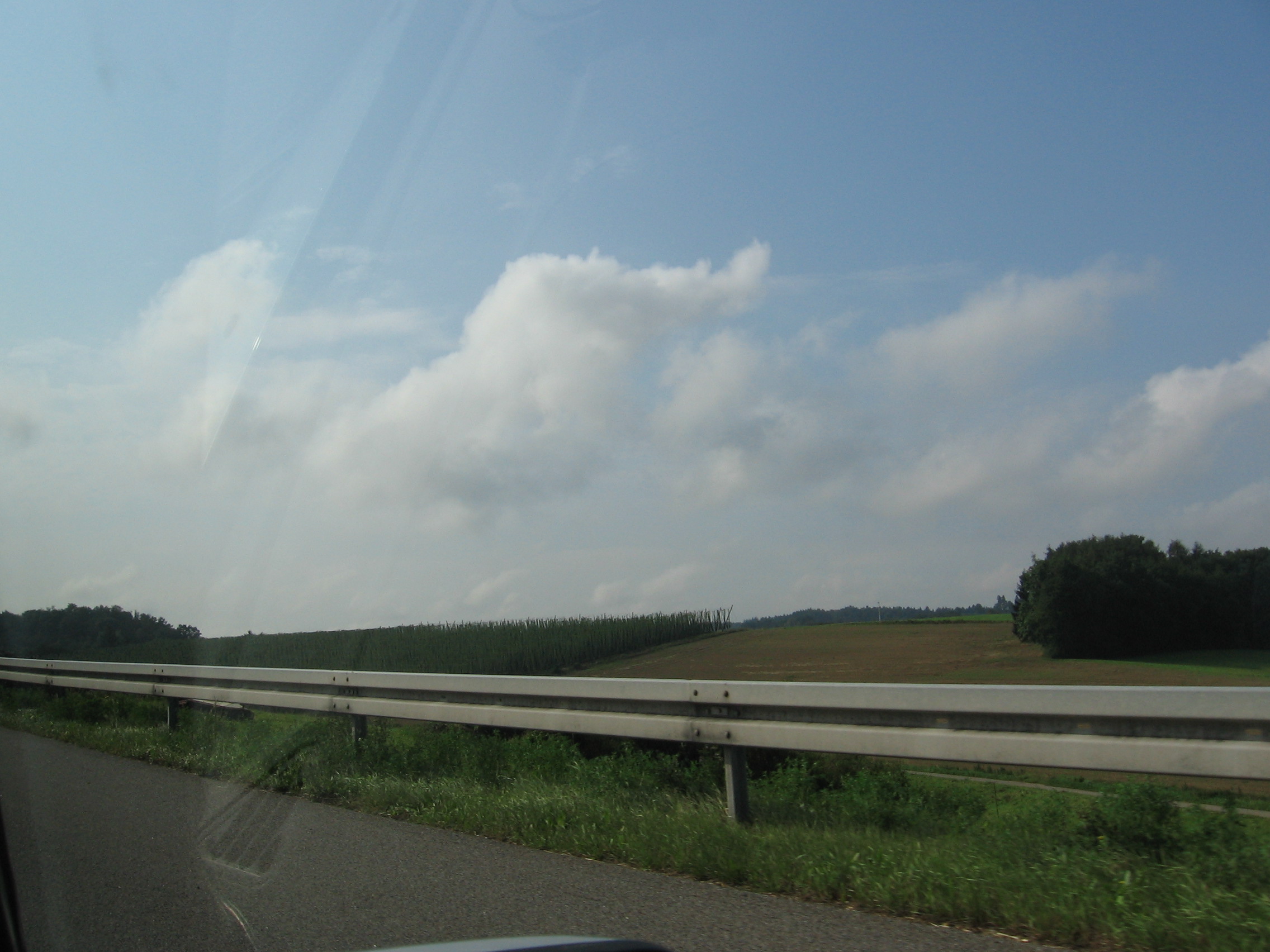 IMG_1607.JPG