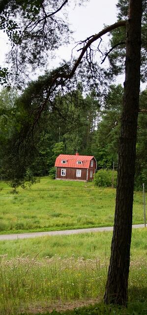 IMG_0409.jpg