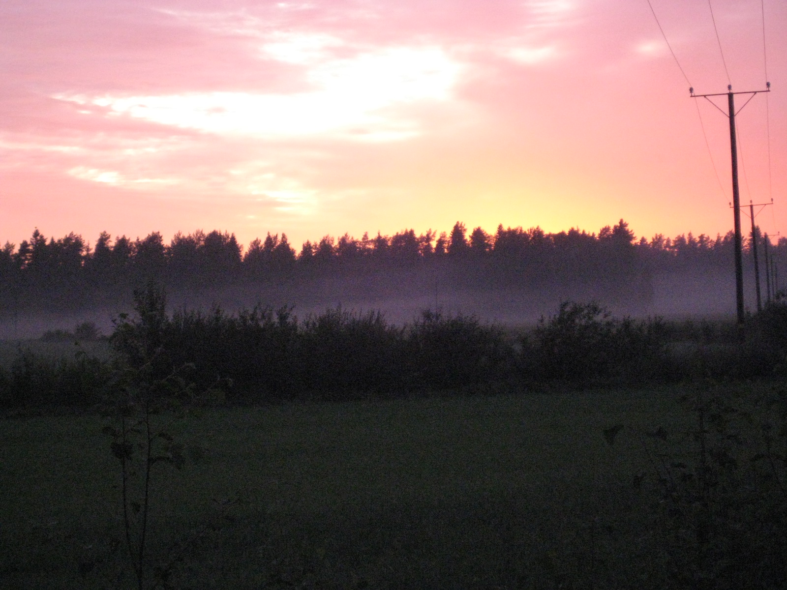 IMG_1845.jpg