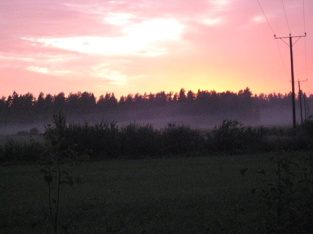 IMG_1845.jpg