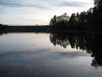 IMG_1910.jpg
