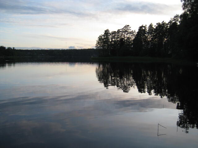 IMG_1910.jpg