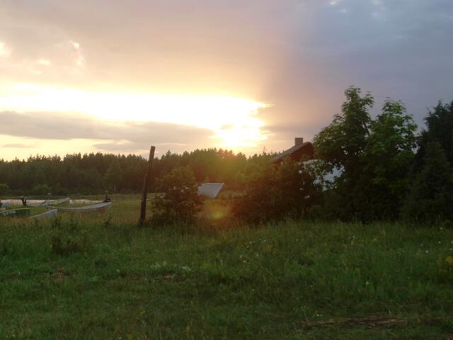 P7134096.JPG