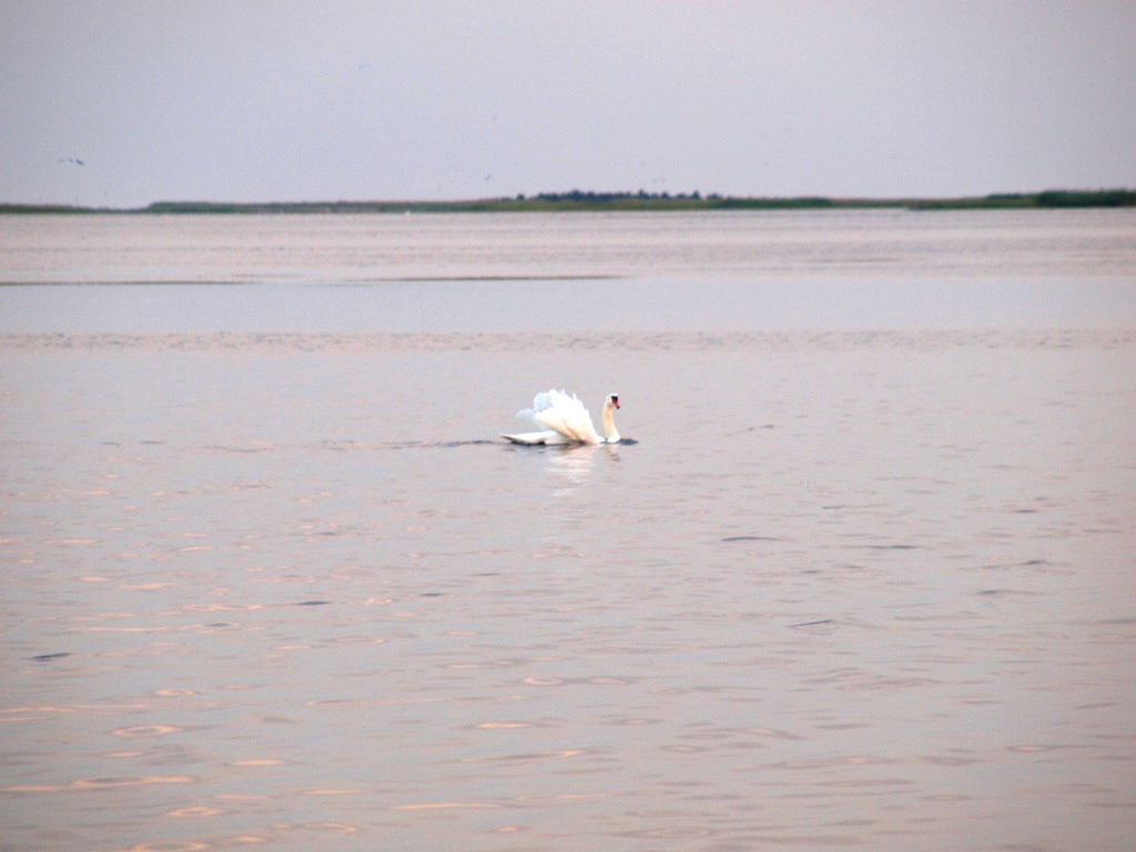 P7134100.JPG