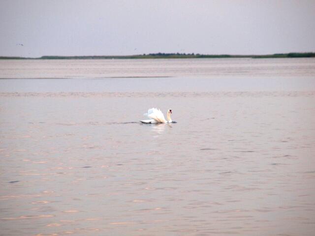 P7134100.JPG
