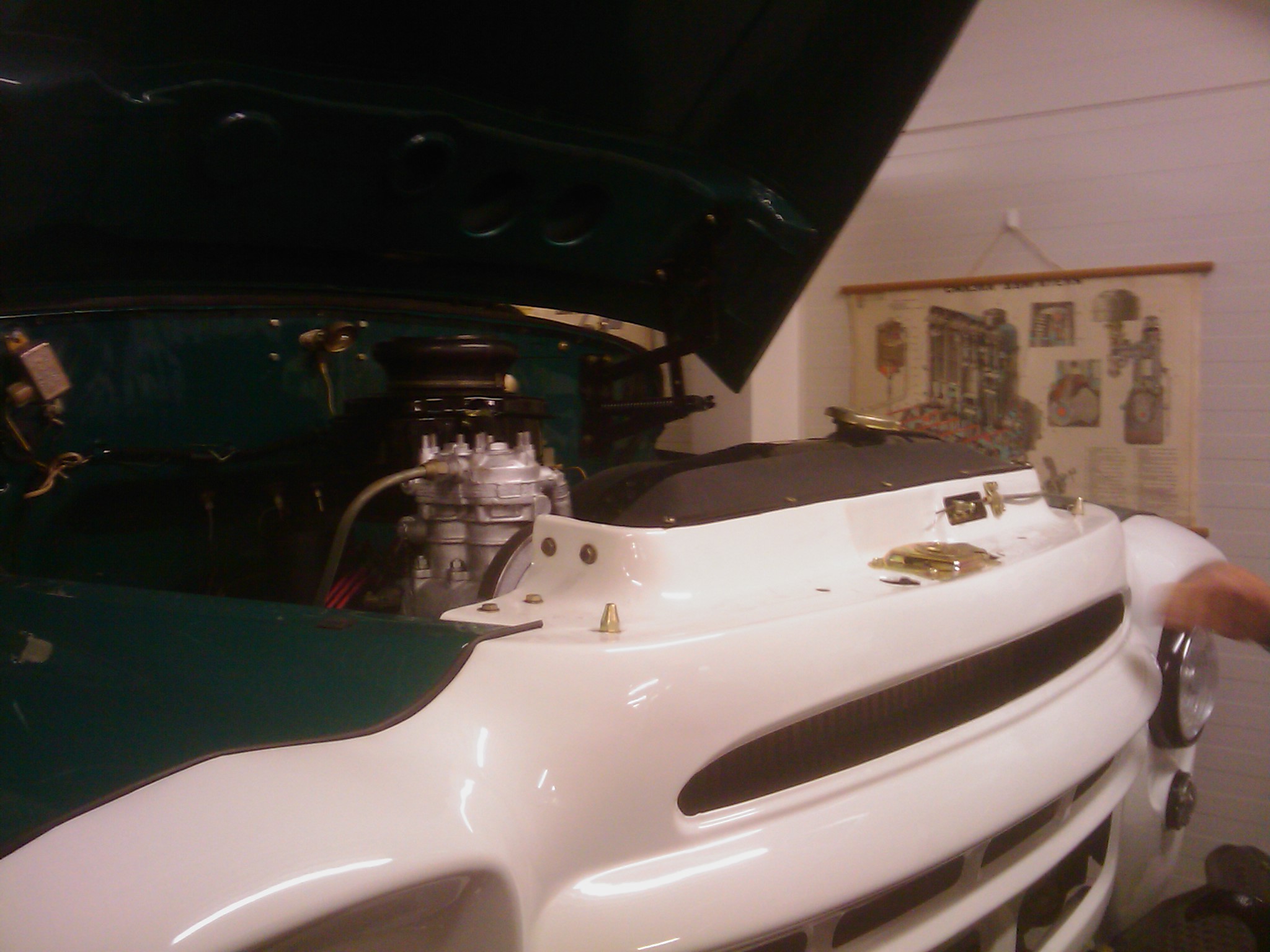 IMAG0222.jpg