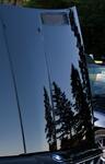 IMG_3758_edited-1.jpg
