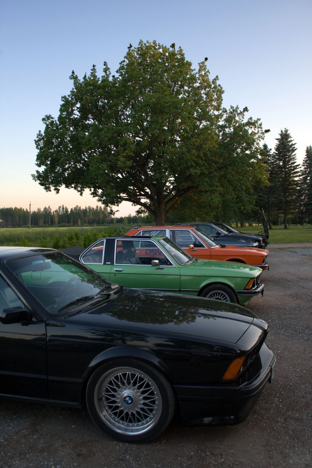 IMG_3790.jpg