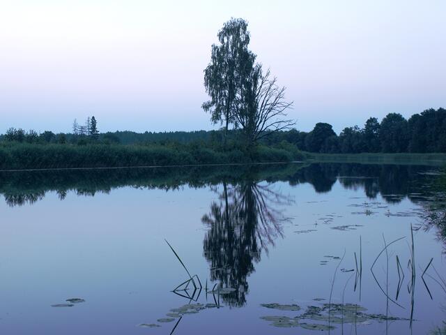 P7102707.JPG