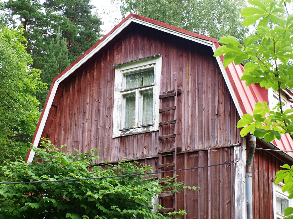 P7232773.JPG