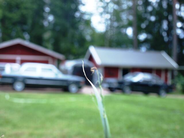 P7232806.JPG