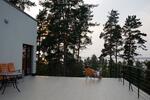 IMG_4630.jpg