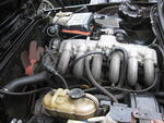 Picture 226
