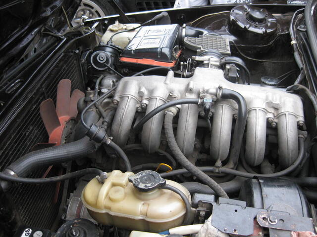 Picture 226