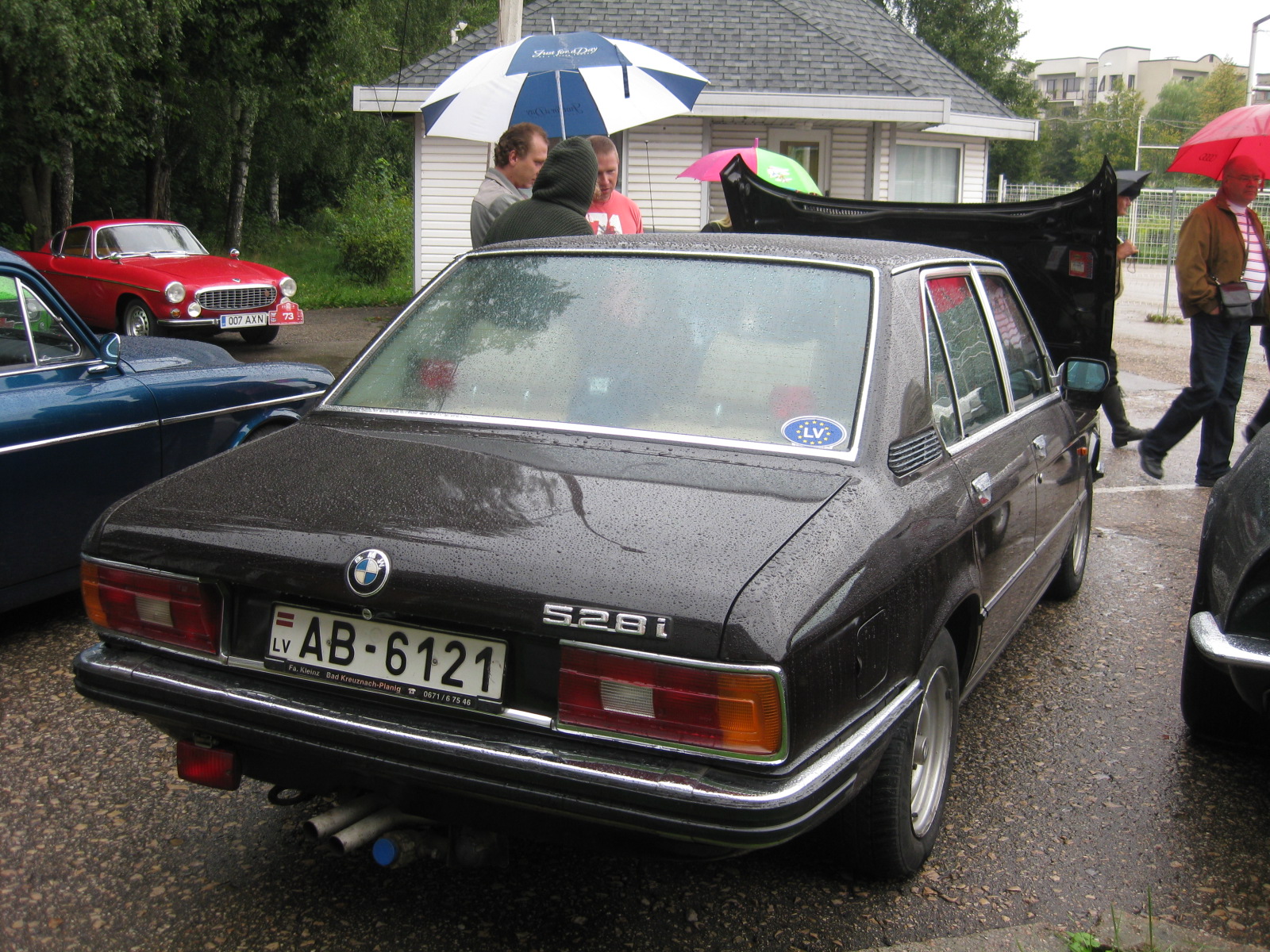 Picture 225