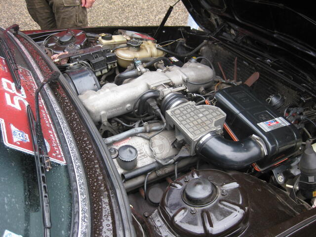 Picture 223