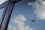 IMG_6186.jpg