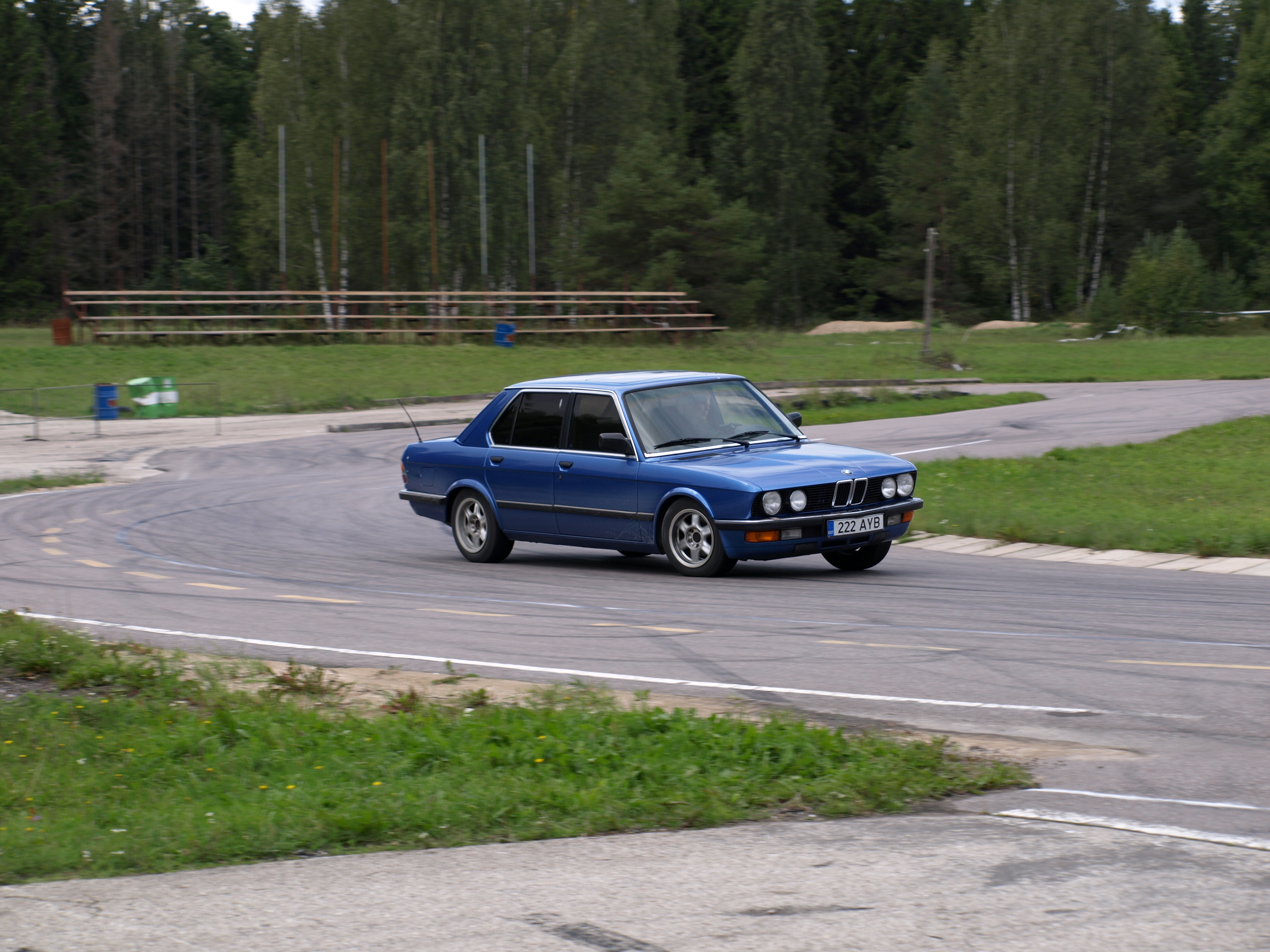 Picture 316.jpg
