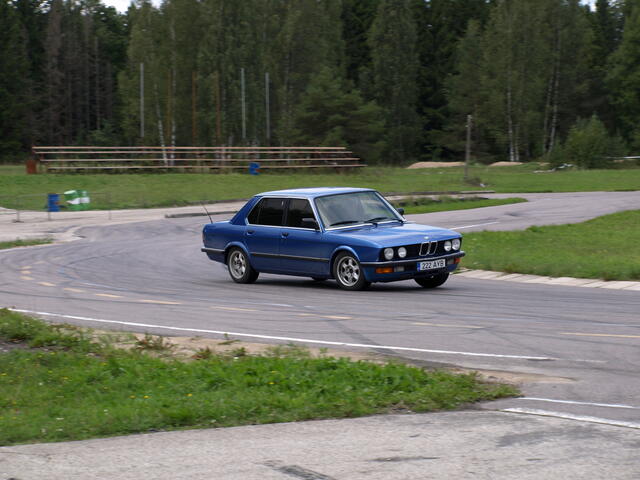 Picture 316.jpg
