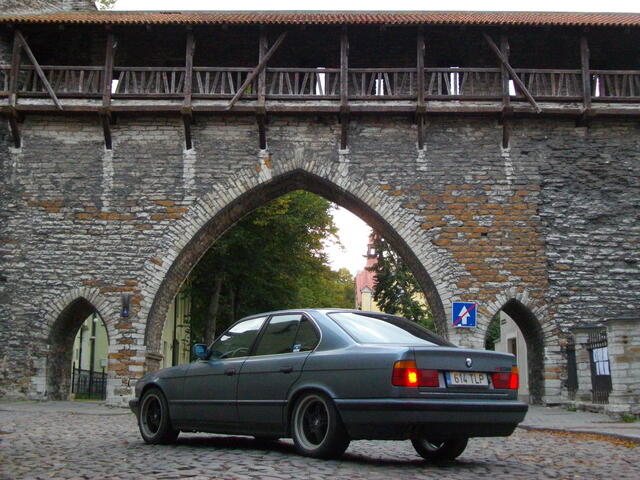IMGP4137
