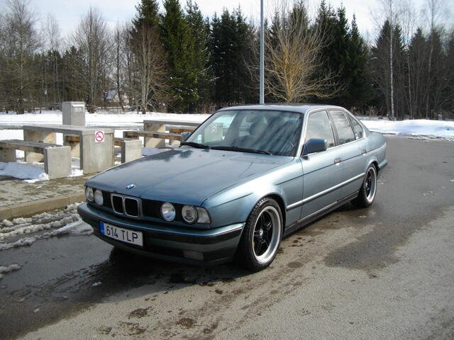 IMGP5424