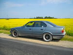 IMGP2561