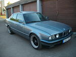 IMGP1995