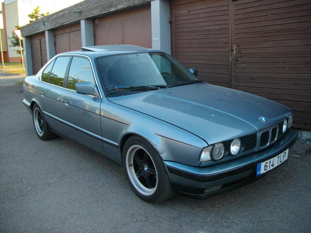 IMGP1995