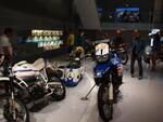 P9105671.JPG
