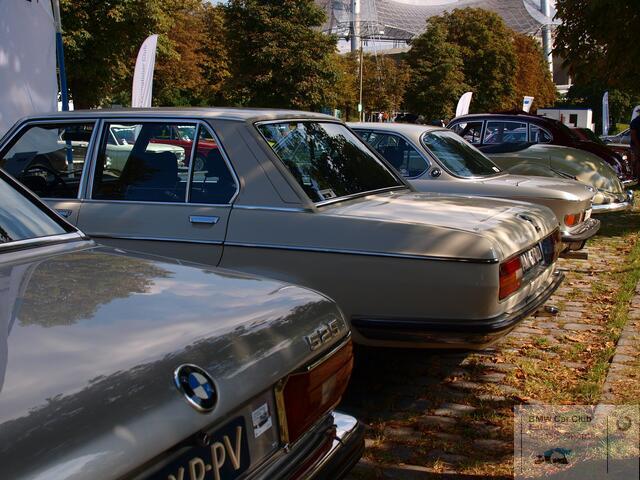 P9094993.JPG