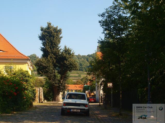 P9084709.JPG
